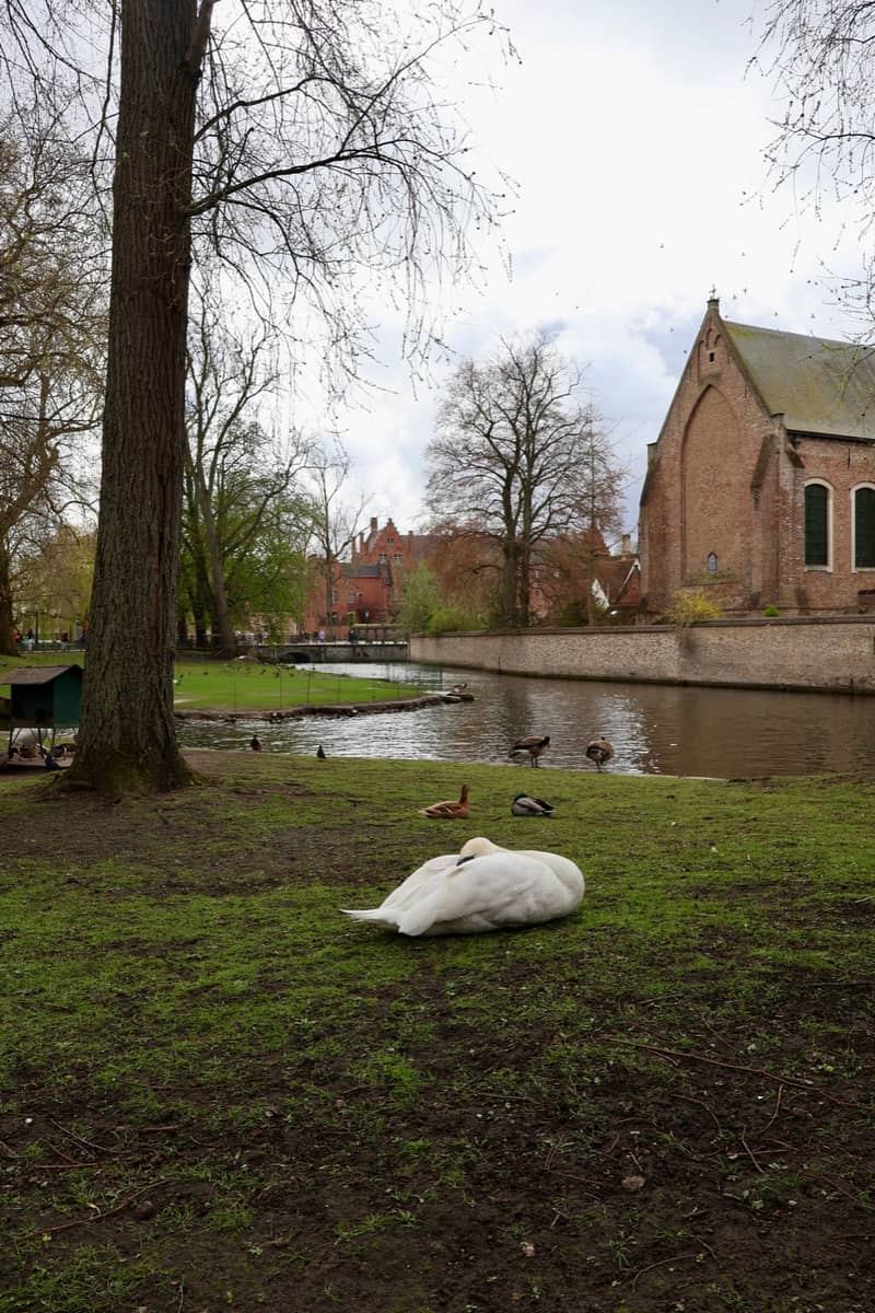 Bruges Canal Cruise