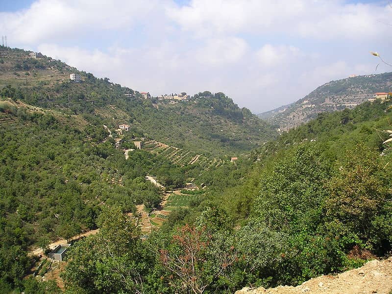 Shouf Cedar Reserve