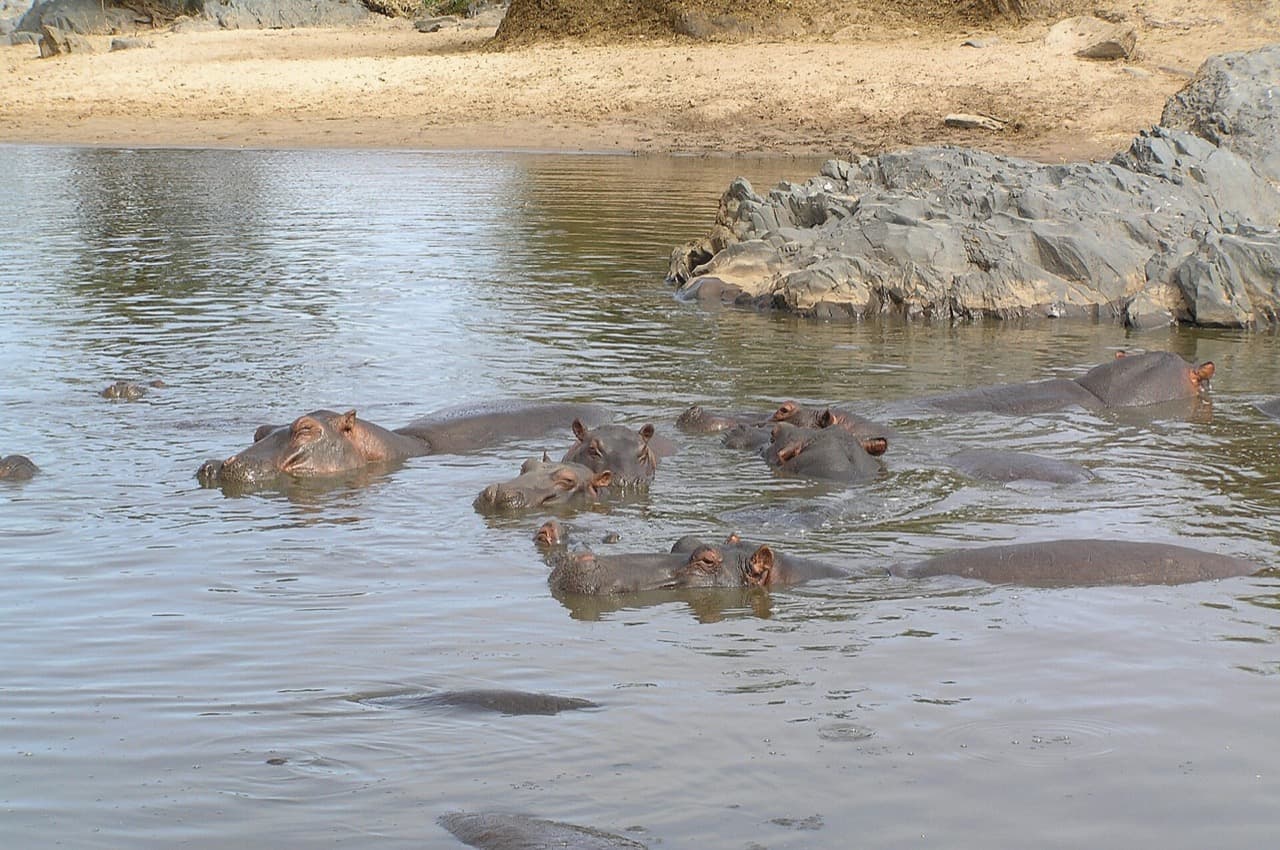 Tanzania