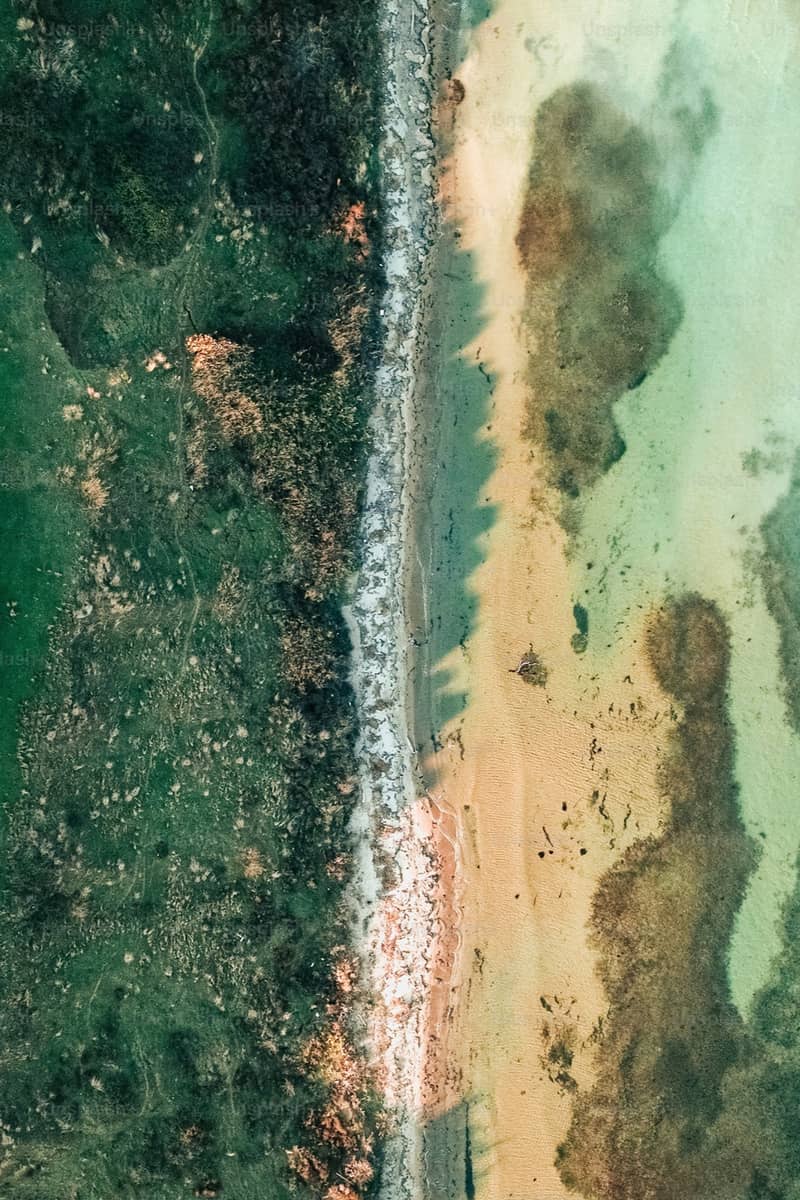 Barangaroo Reserve