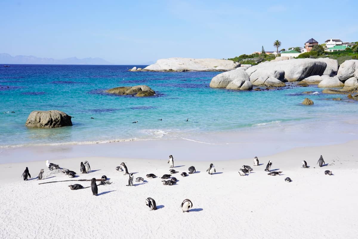 Boulders Beach
