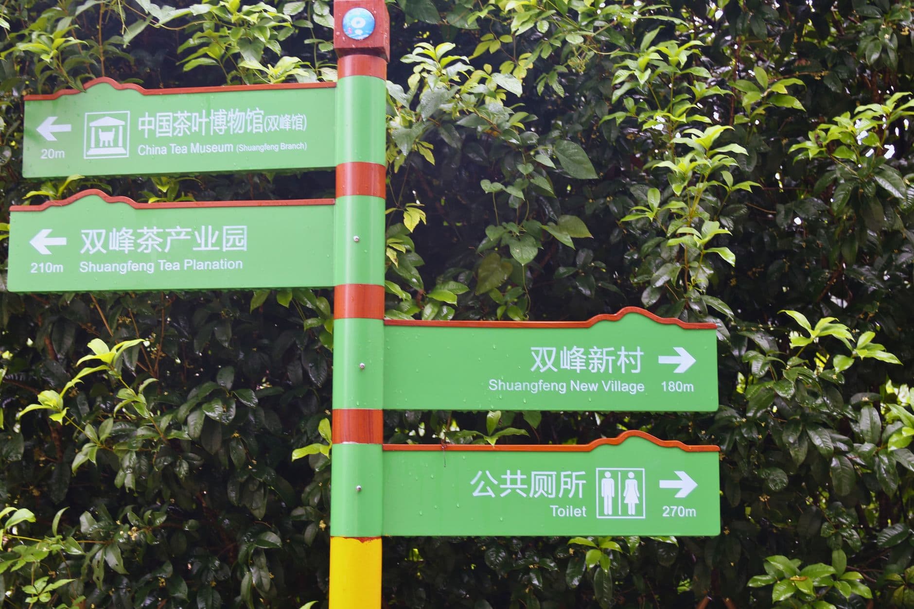 China National Tea Museum