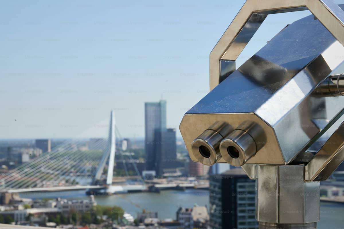 Erasmus Bridge