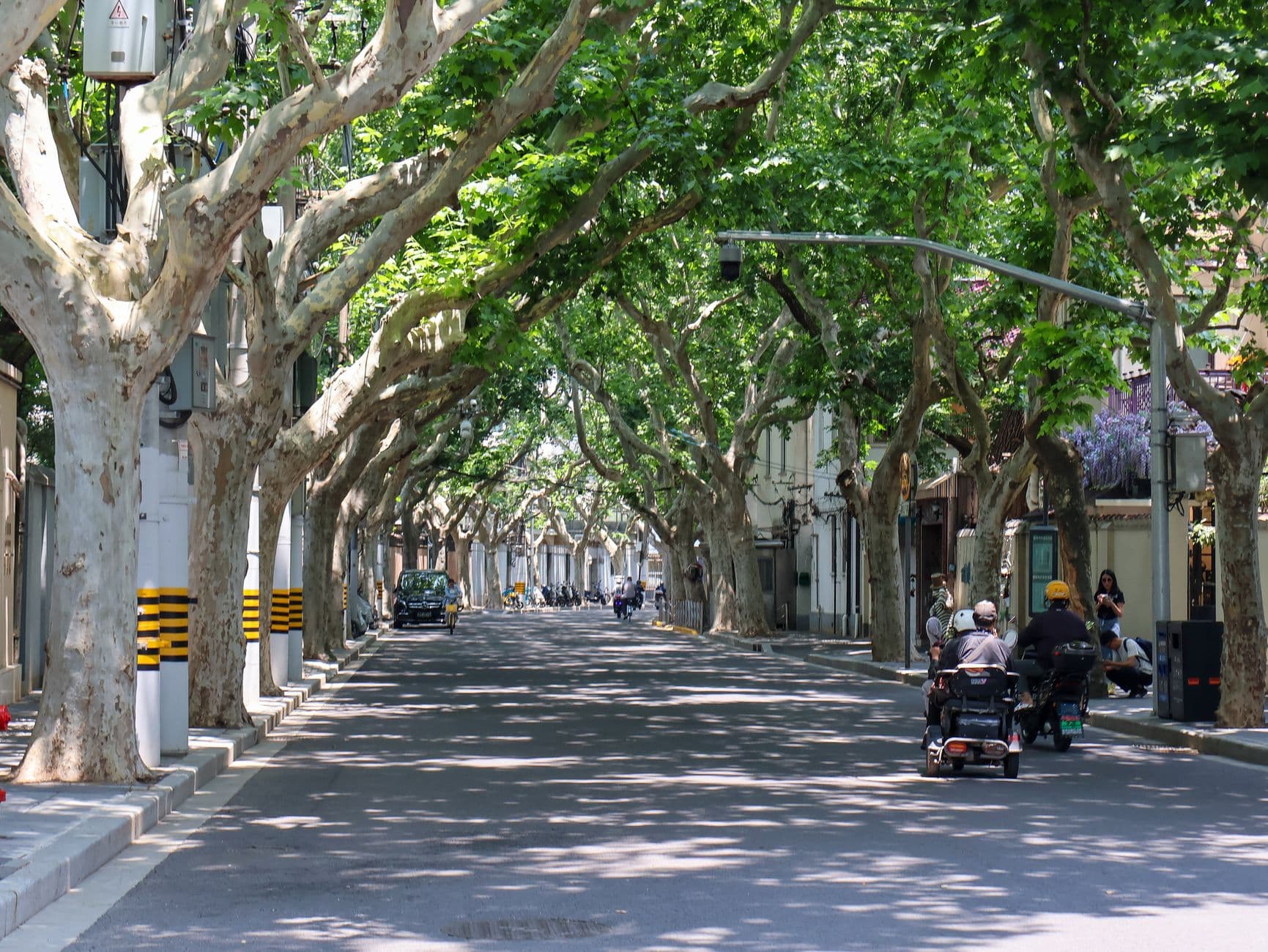 French Concession