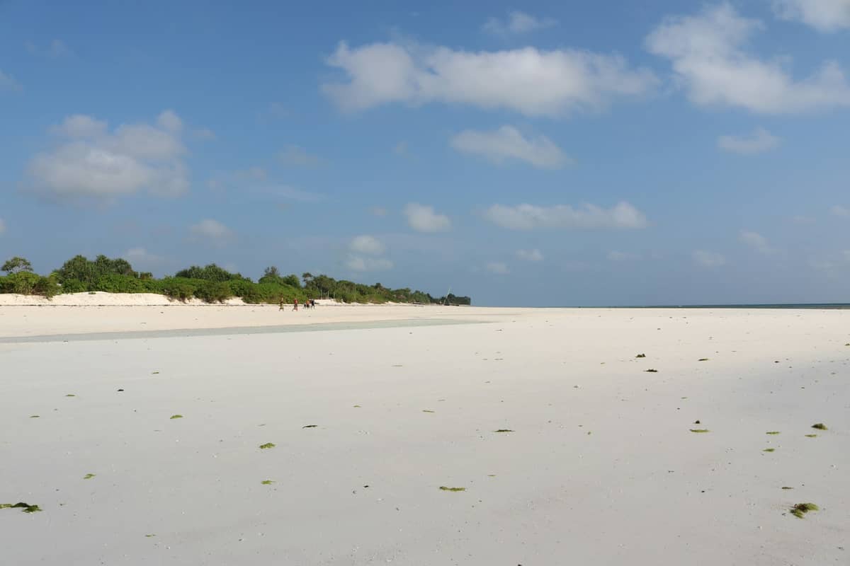 Jozani Chwaka Bay National Park
