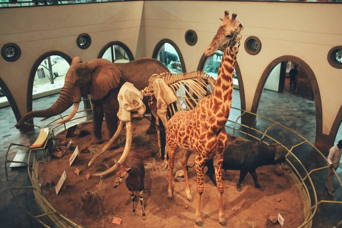 Nairobi National Museum