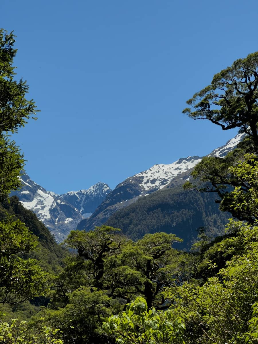 Routeburn Track Day Walk