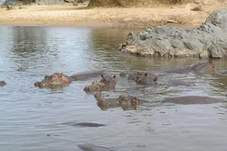 Tanzania